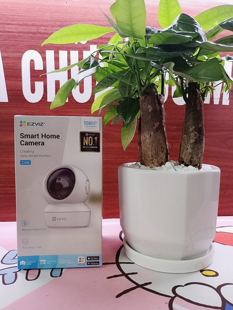 Camara EZVIZ + C6N